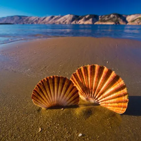 In With Balcony, Air Conditioning, Wifi 87-1 *